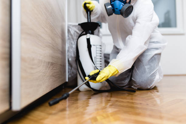 Best Pest Removal Services  in Cheboygan, MI