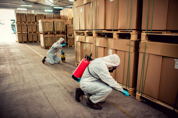 Pest Control Cost in Cheboygan, MI