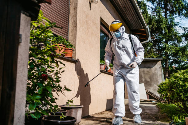 Best Exterminator Services  in Cheboygan, MI