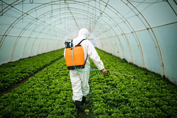 Best Local Pest Control Services  in Cheboygan, MI
