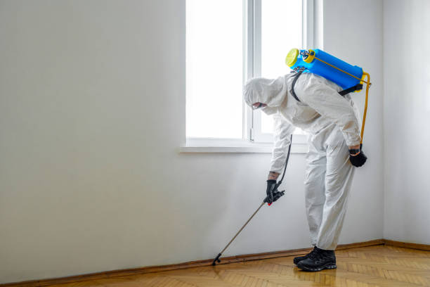 Pest Control for Restaurants in Cheboygan, MI