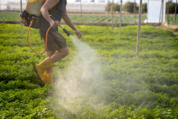 Best Pest Prevention Services  in Cheboygan, MI