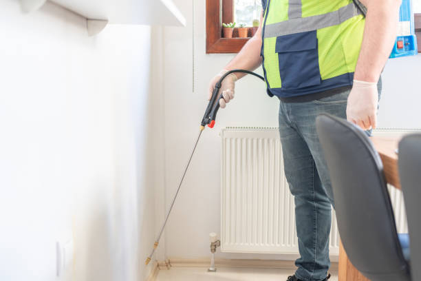 Best Wasp Removal Services  in Cheboygan, MI