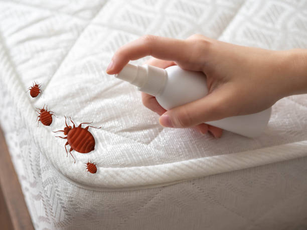 Best Pest Control for Businesses  in Cheboygan, MI