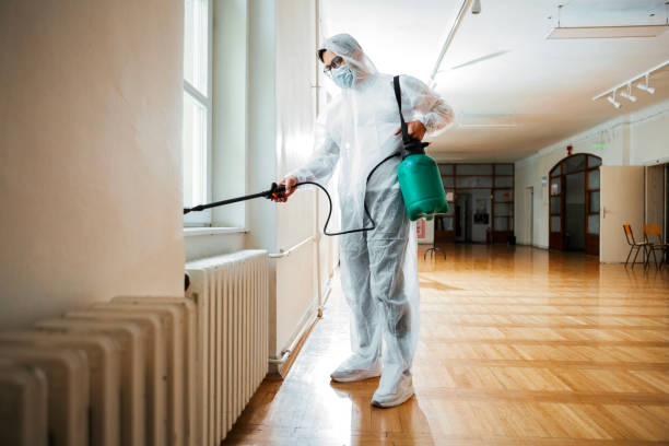 Best Ant Control Services  in Cheboygan, MI
