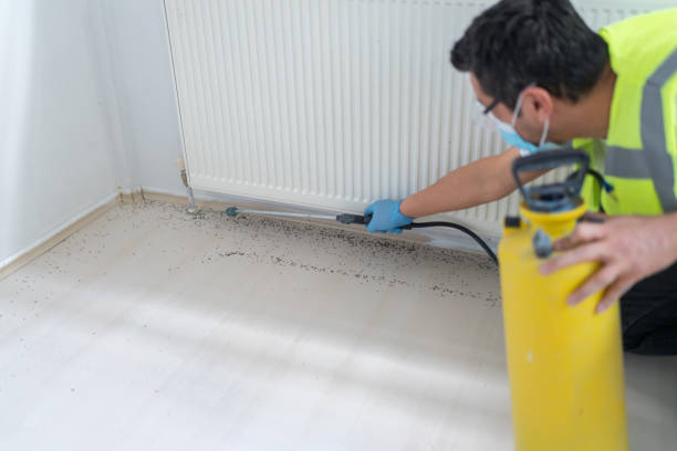 Best Best Pest Control Companies  in Cheboygan, MI