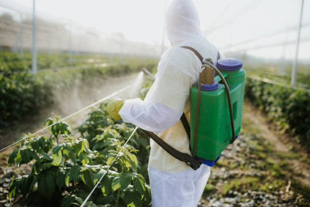 Best Wildlife Control Services  in Cheboygan, MI